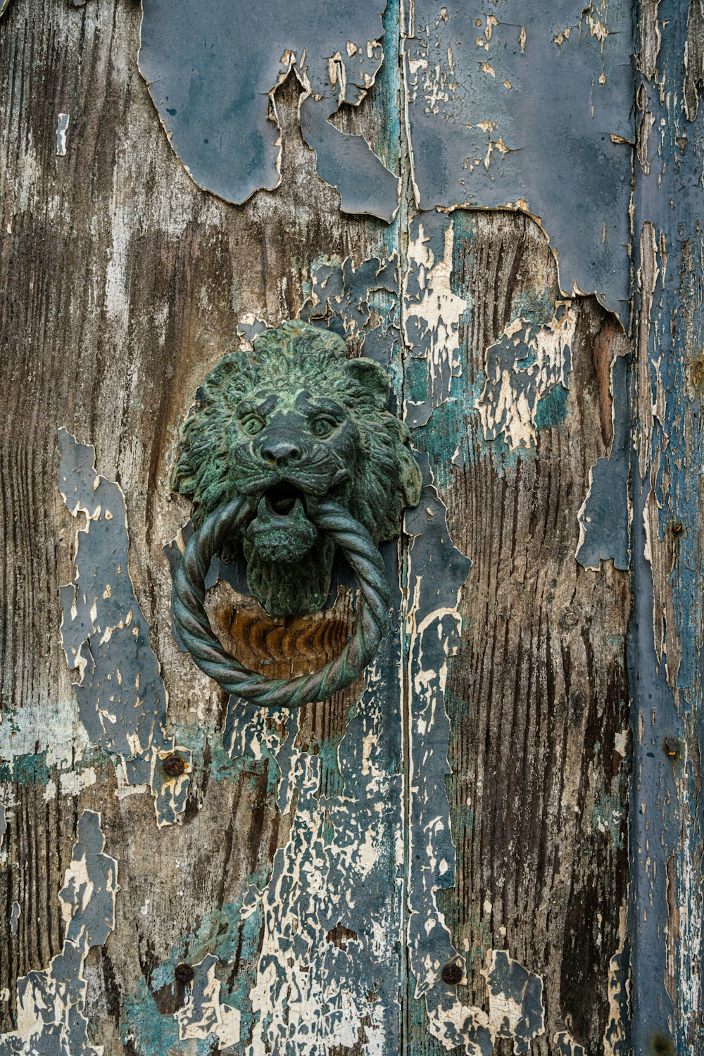 green and brown wooden door