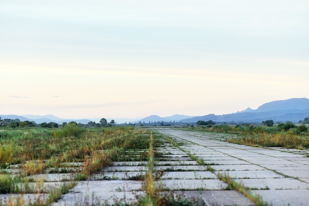 a dirt road with grass and mountains in the background