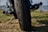 A close-up view of a motorcycle's rear tire, focusing on the detailed tread pattern. The chrome exhaust pipes are visible, reflecting light. The background consists of a blurred natural scenery with grass and a body of water, suggesting an outdoor setting.