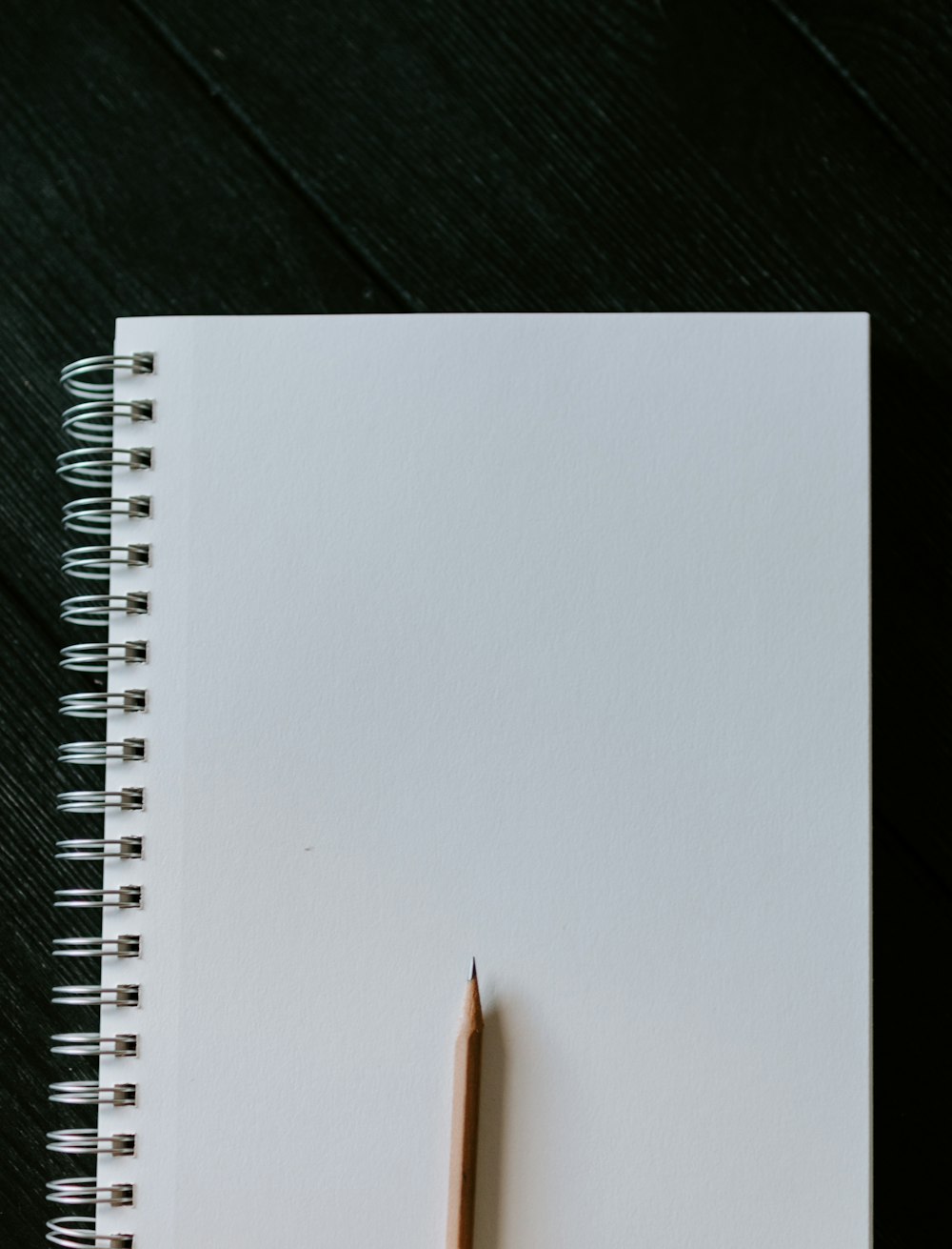 Blank Book Pictures Download Free Images On Unsplash