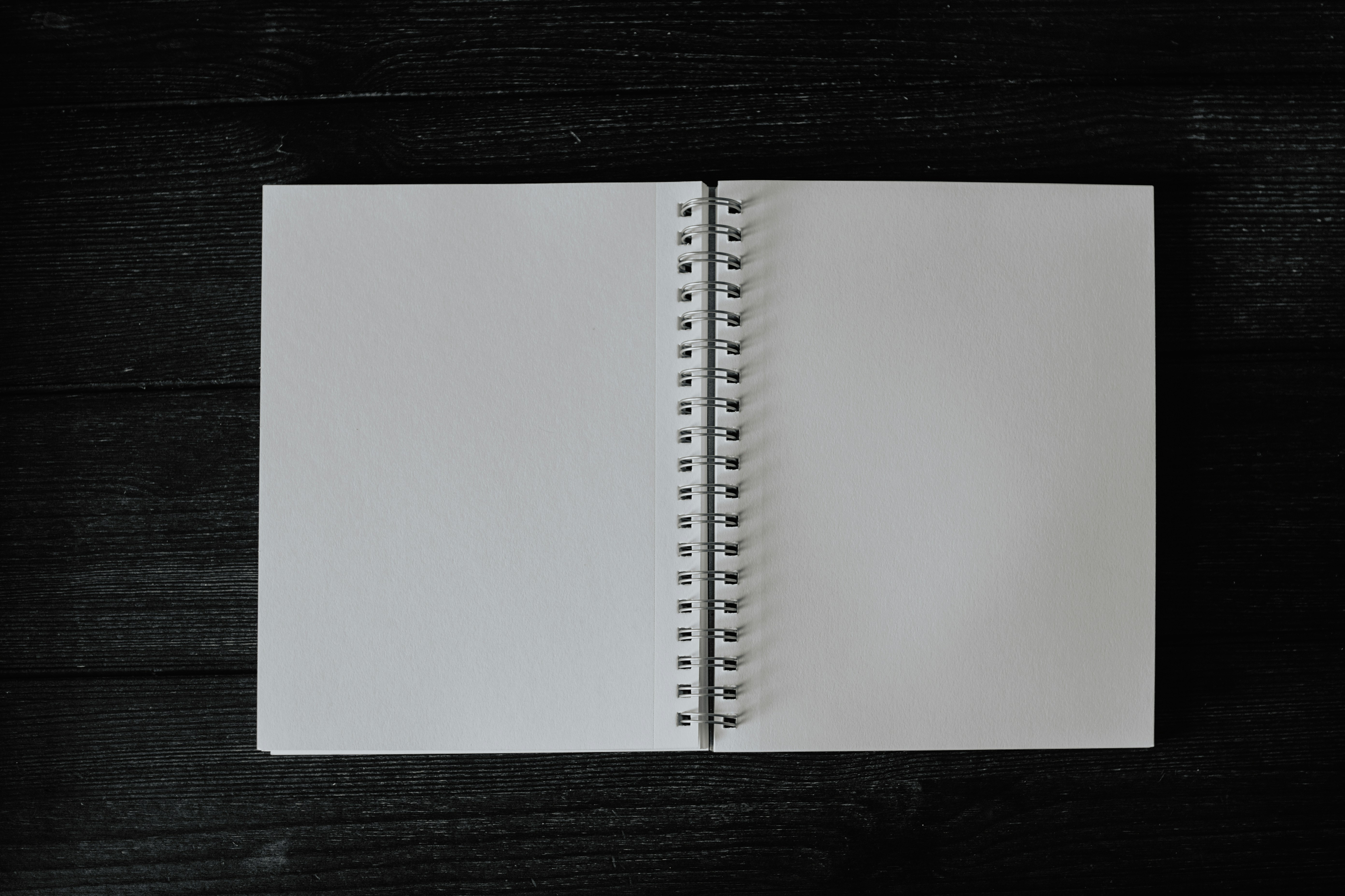 Open flat blank spiral notebook / sketchbook