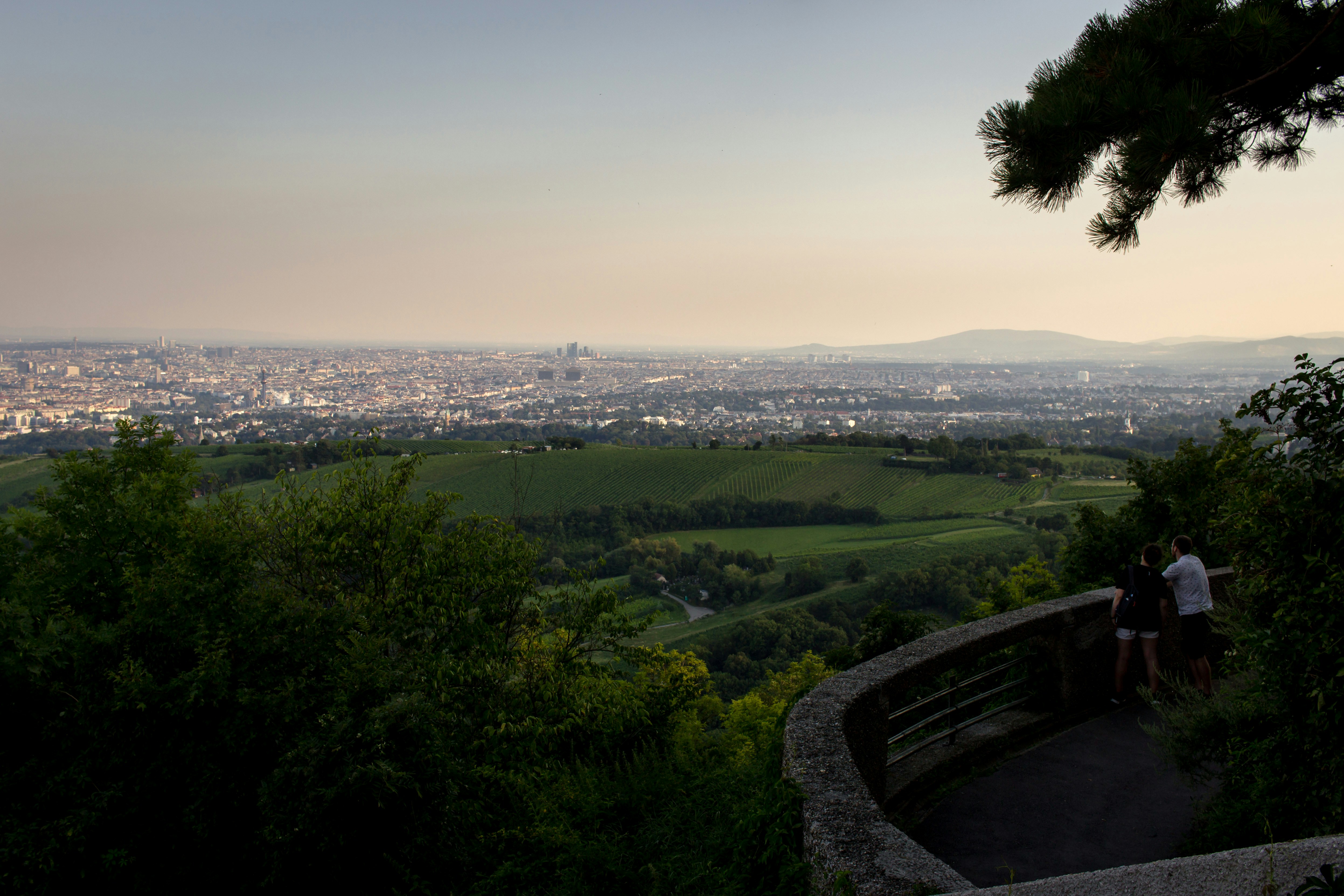 Photo by herrlechner