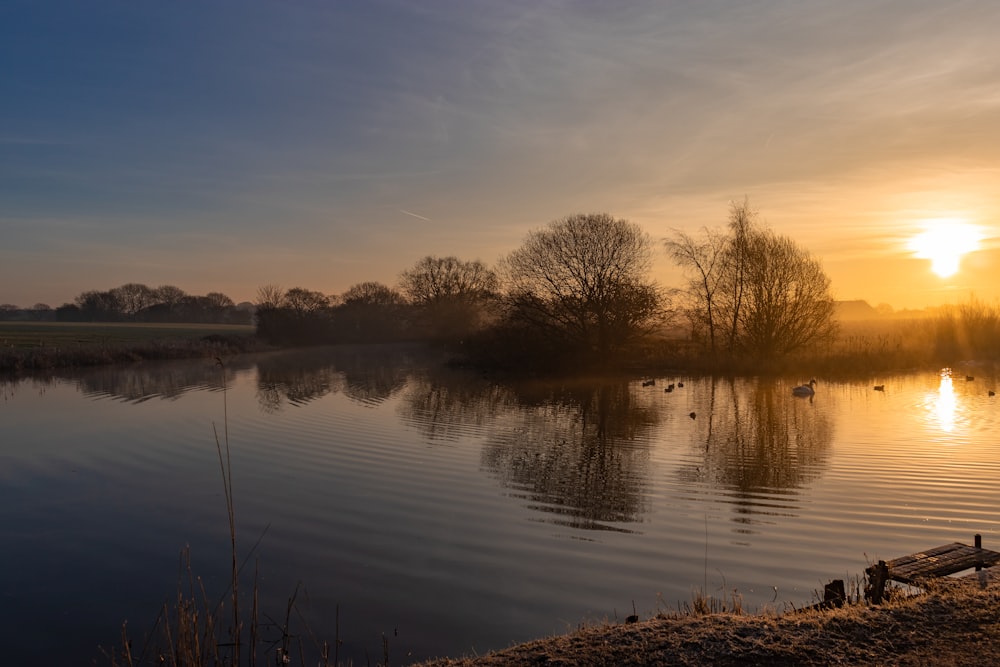 body of water near trees during sunset