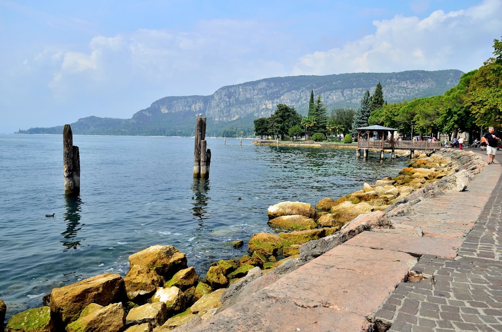 people walking on concrete dock near body of water during daytime