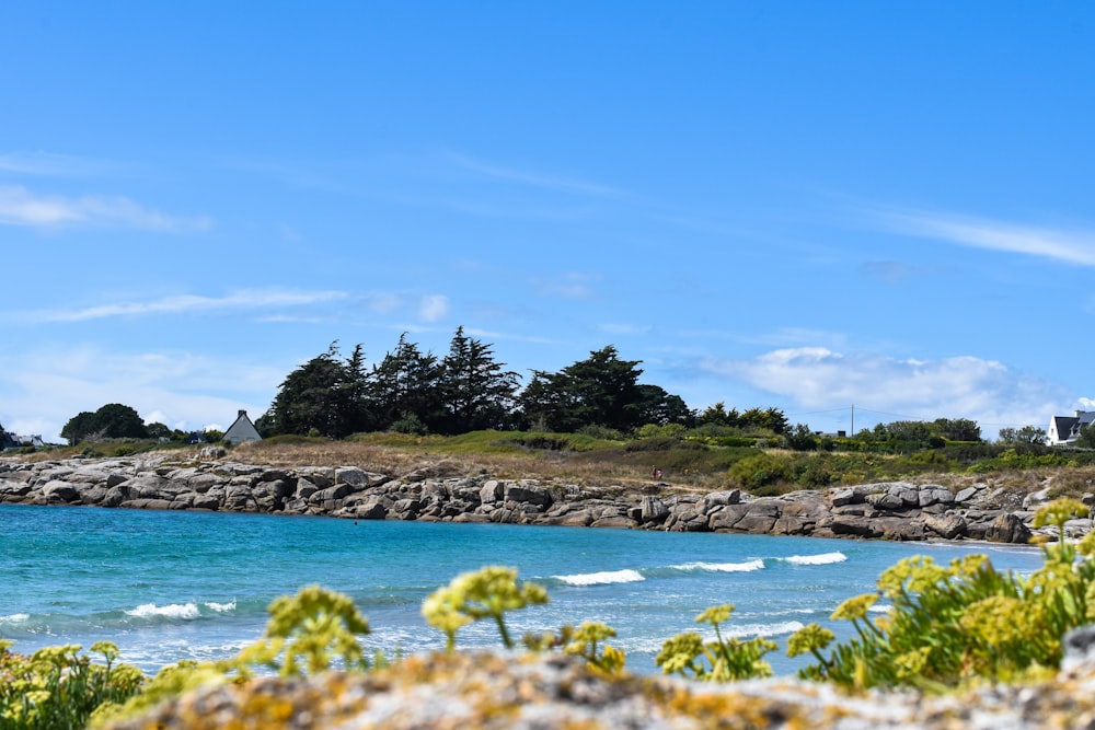 green trees on island during daytime