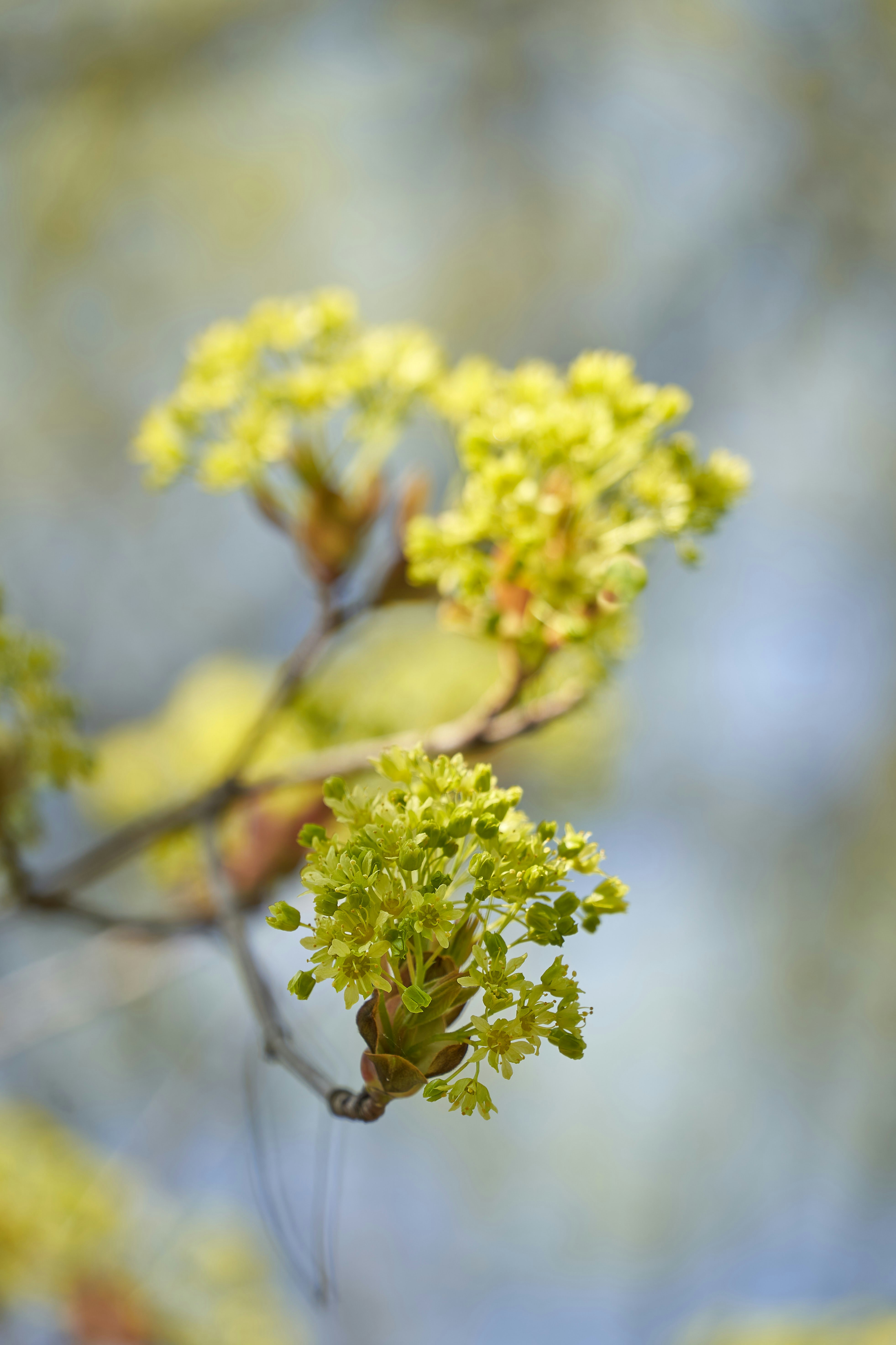 Photo by wolfgang_hasselmann