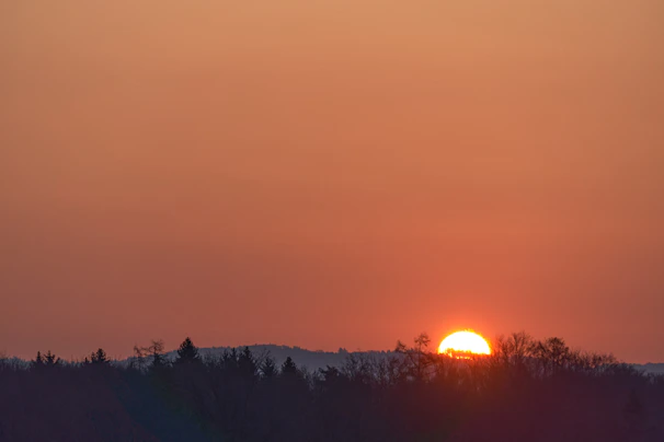 A vibrant sunset over a misty forest captured with warm tones and deep shadows