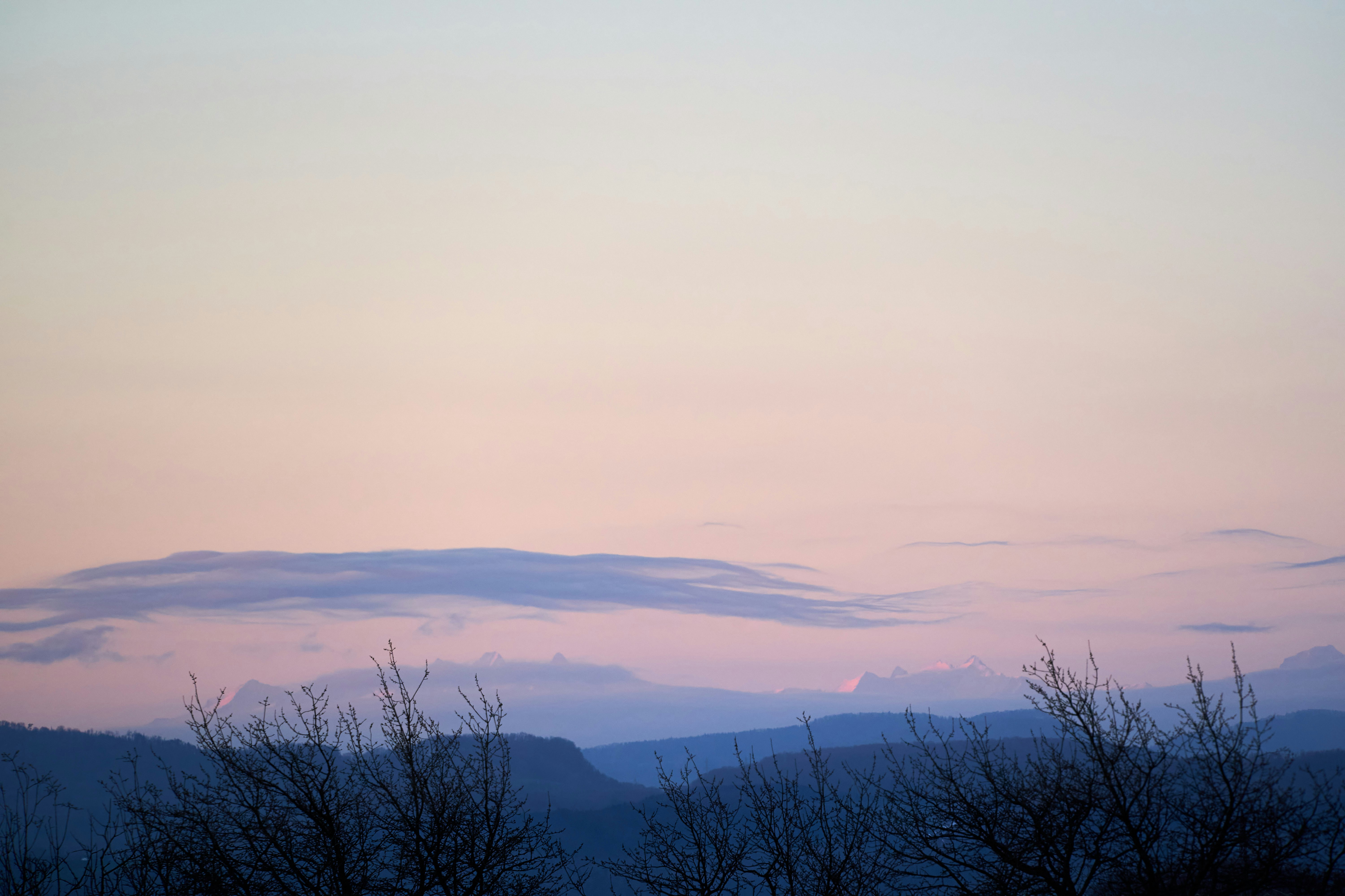 Photo by wolfgang_hasselmann