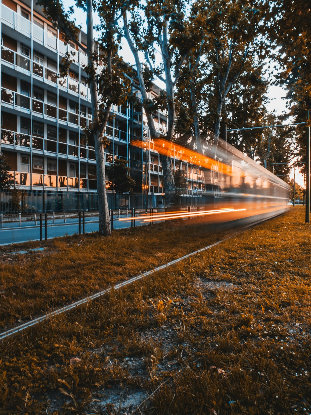 white building near trees during daytime