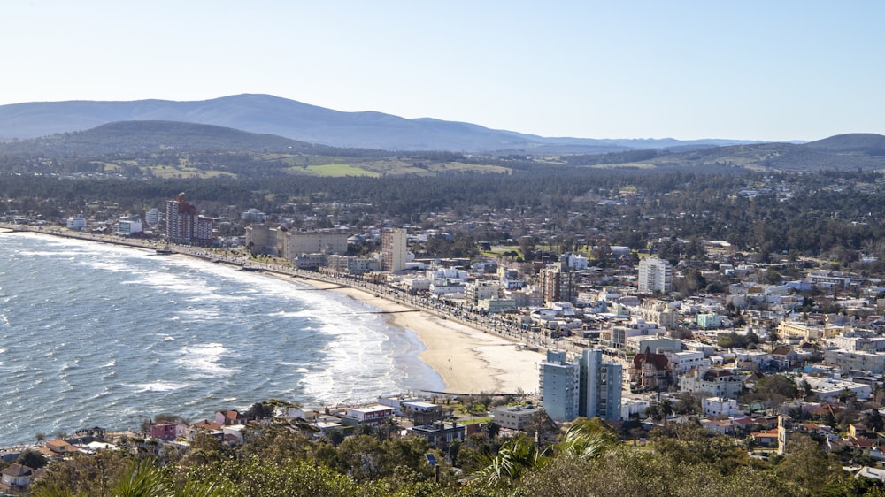 aerial view of city buildings near sea during daytime