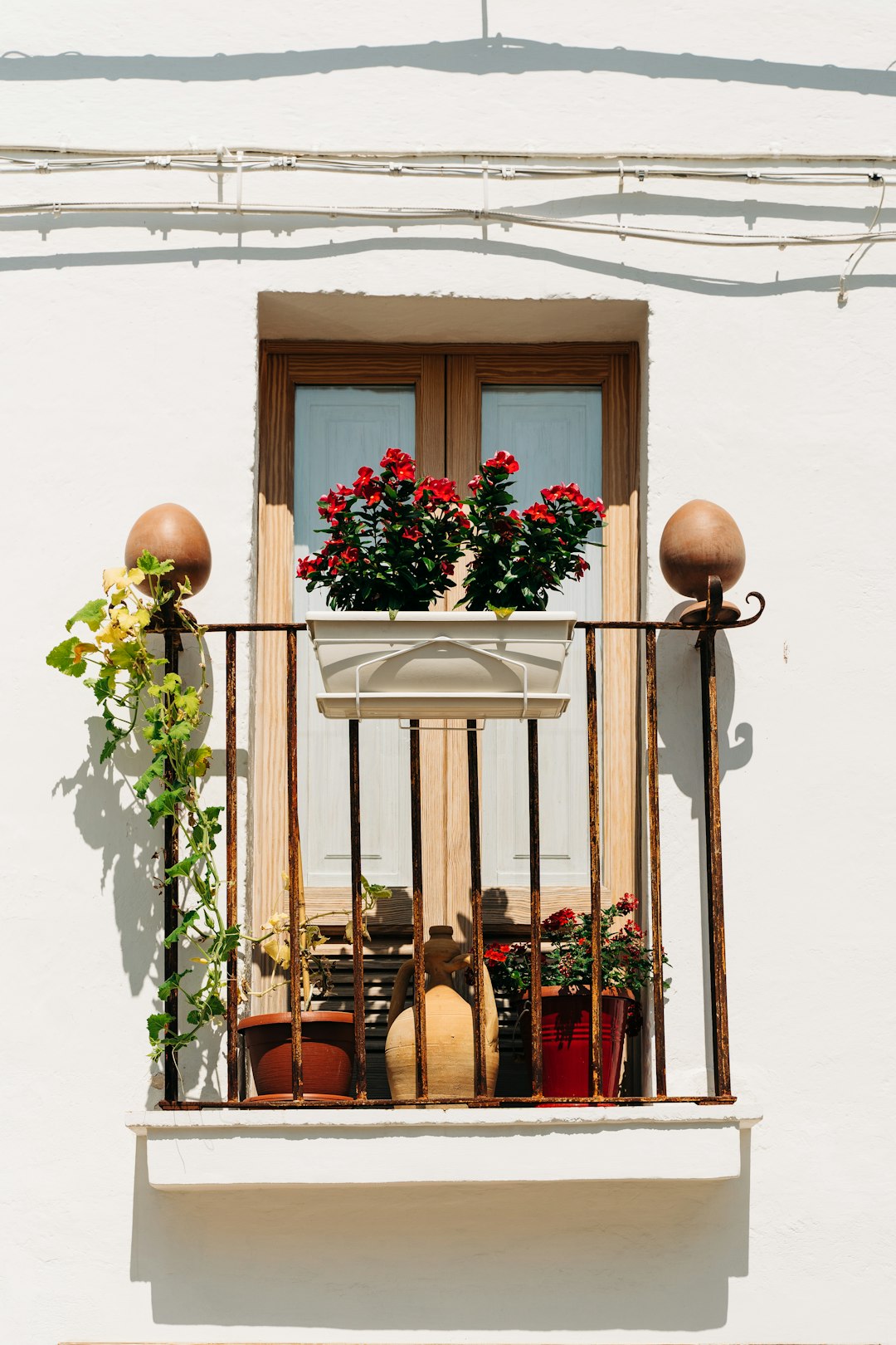 brown wooden door with white flower in brown clay pot