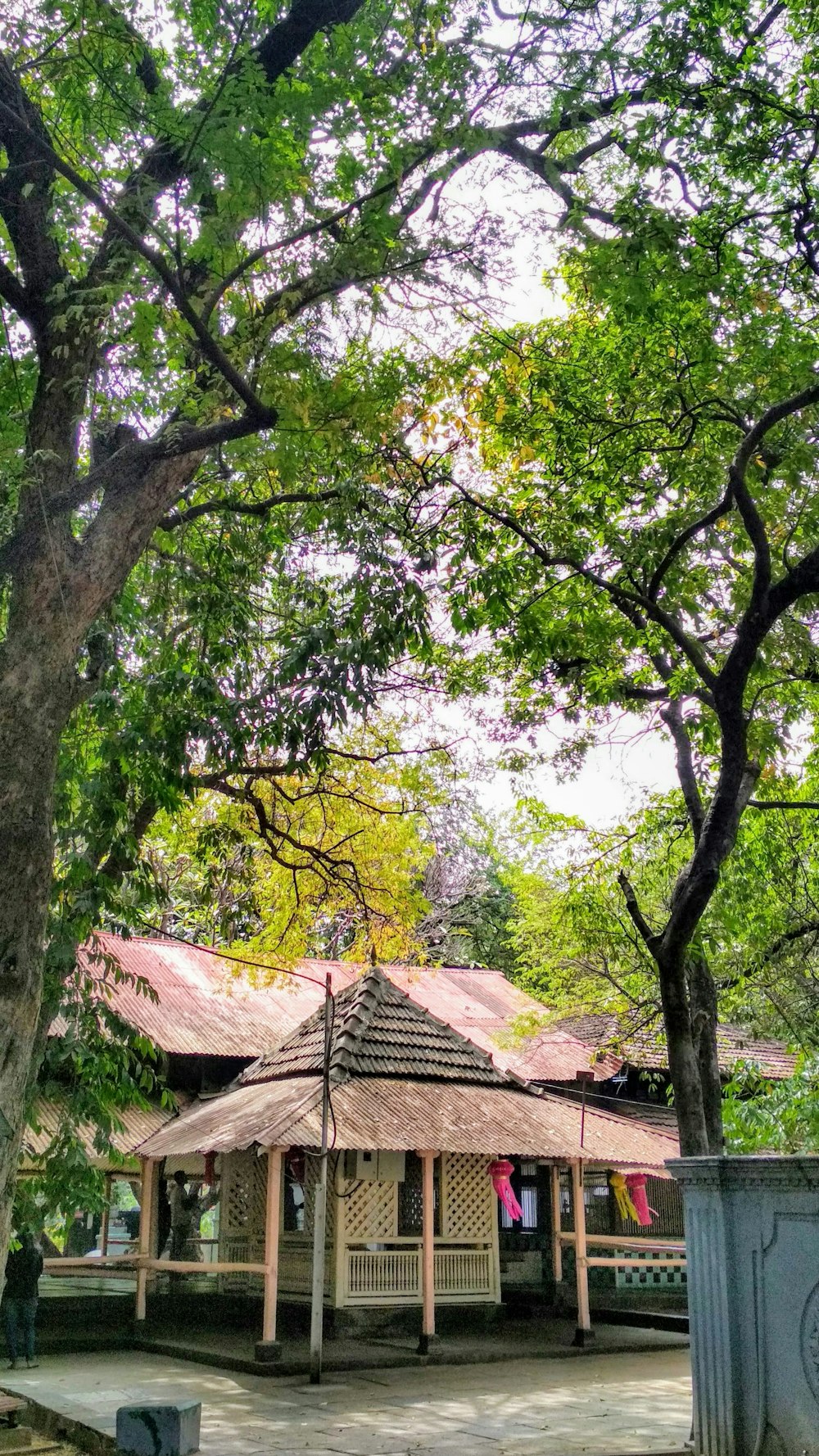 brown wooden house near green trees during daytime