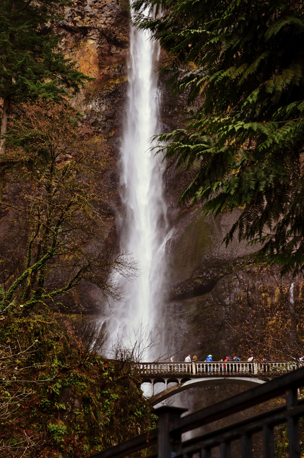 waterfalls in the middle of the forest