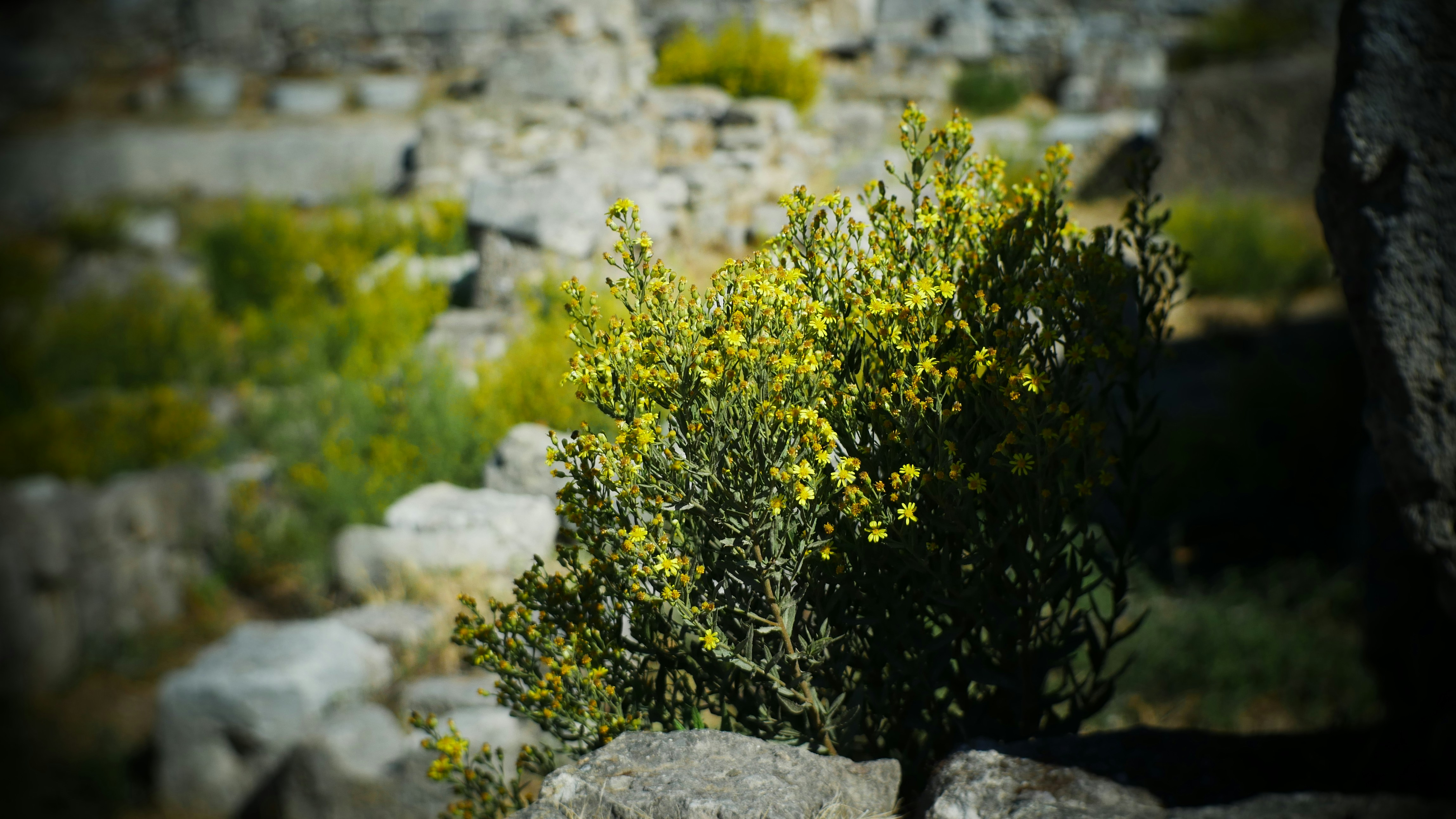 Photo by frederikmerten