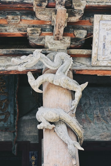 A mystical dragon kingdom with ancient stone tablets.