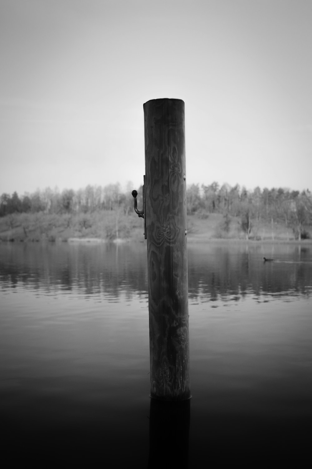 grayscale photo of wooden post near body of water