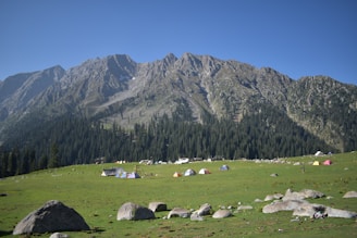 A picturesque landscape showcasing the festival venue.