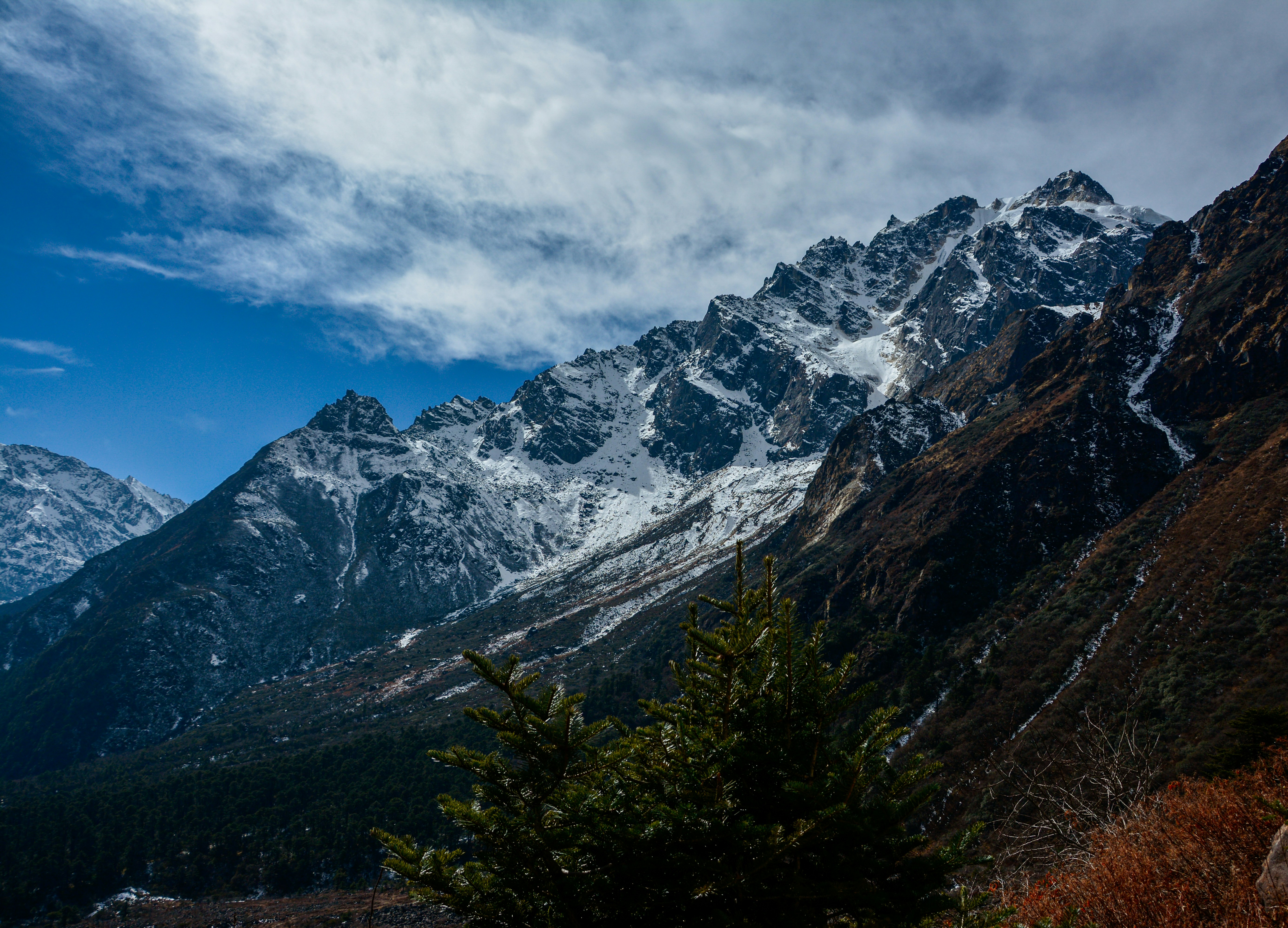 Photo by supriyasamanta