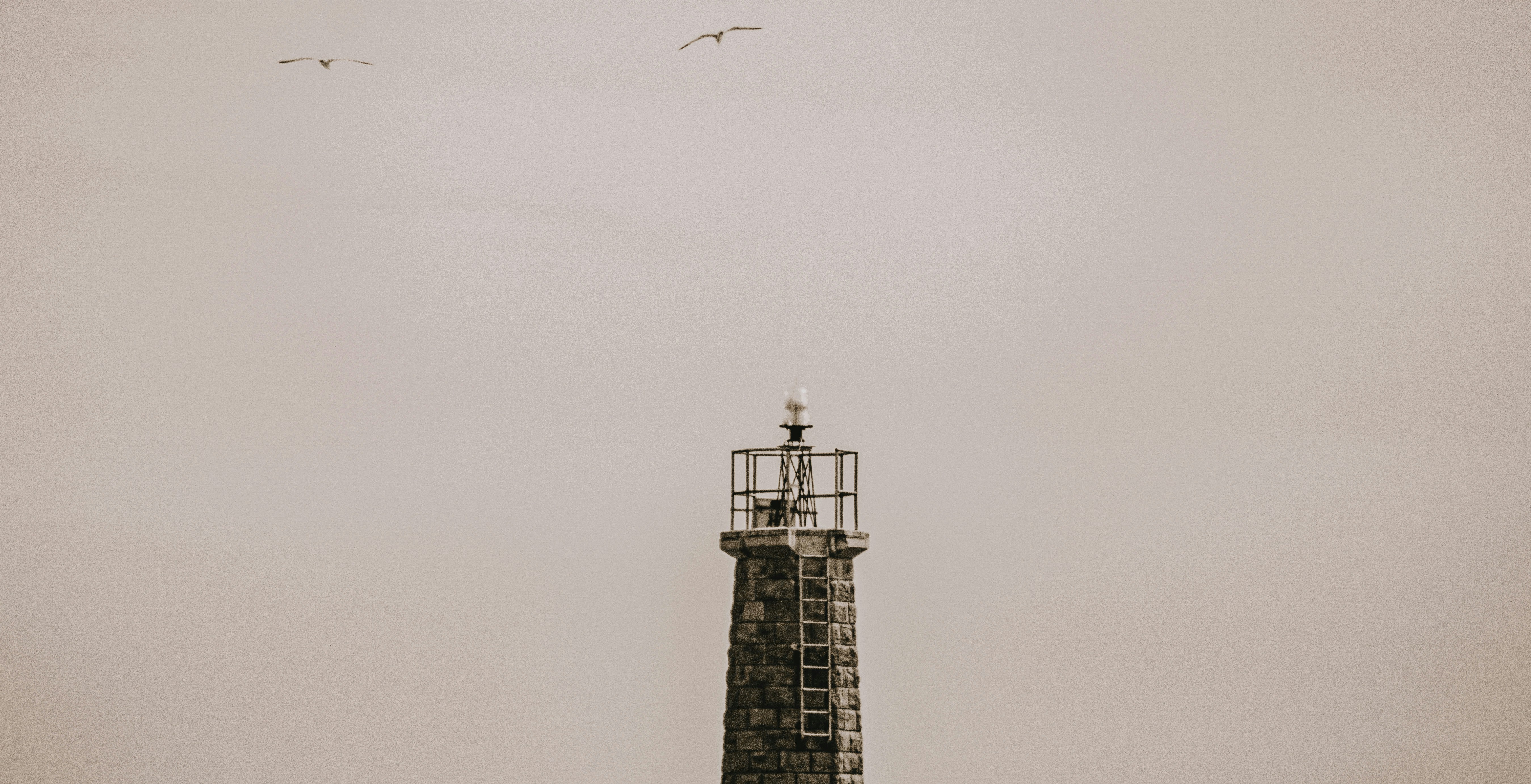 Photo by framesforyourheart