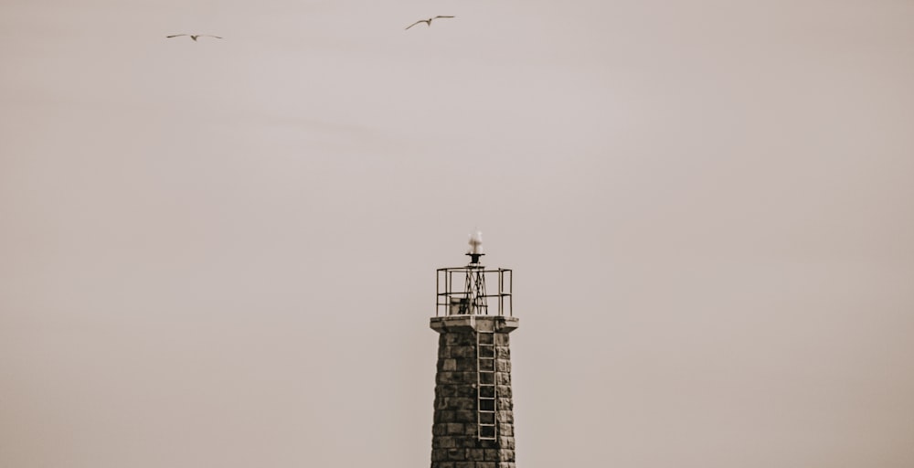 black and white lighthouse under white sky