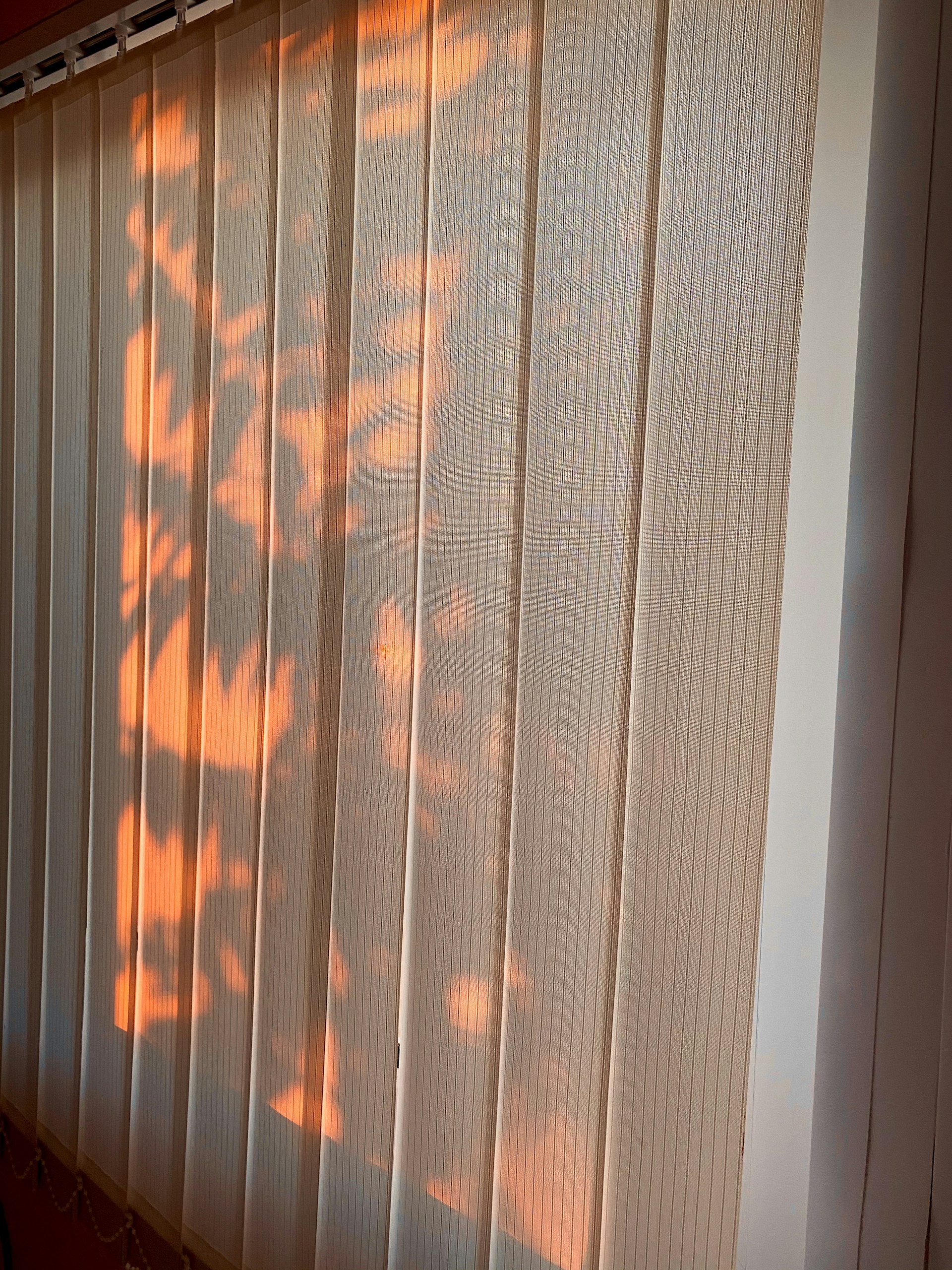 woman wearing yellow long-sleeved dress under white clouds and blue sky during daytime