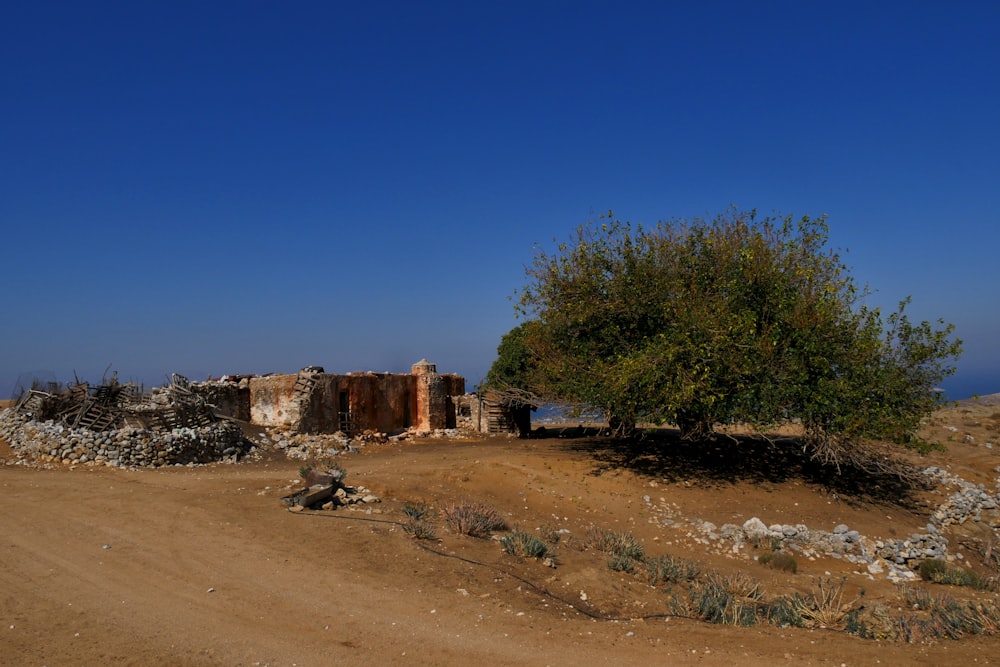 green trees near brown concrete building under blue sky during daytime