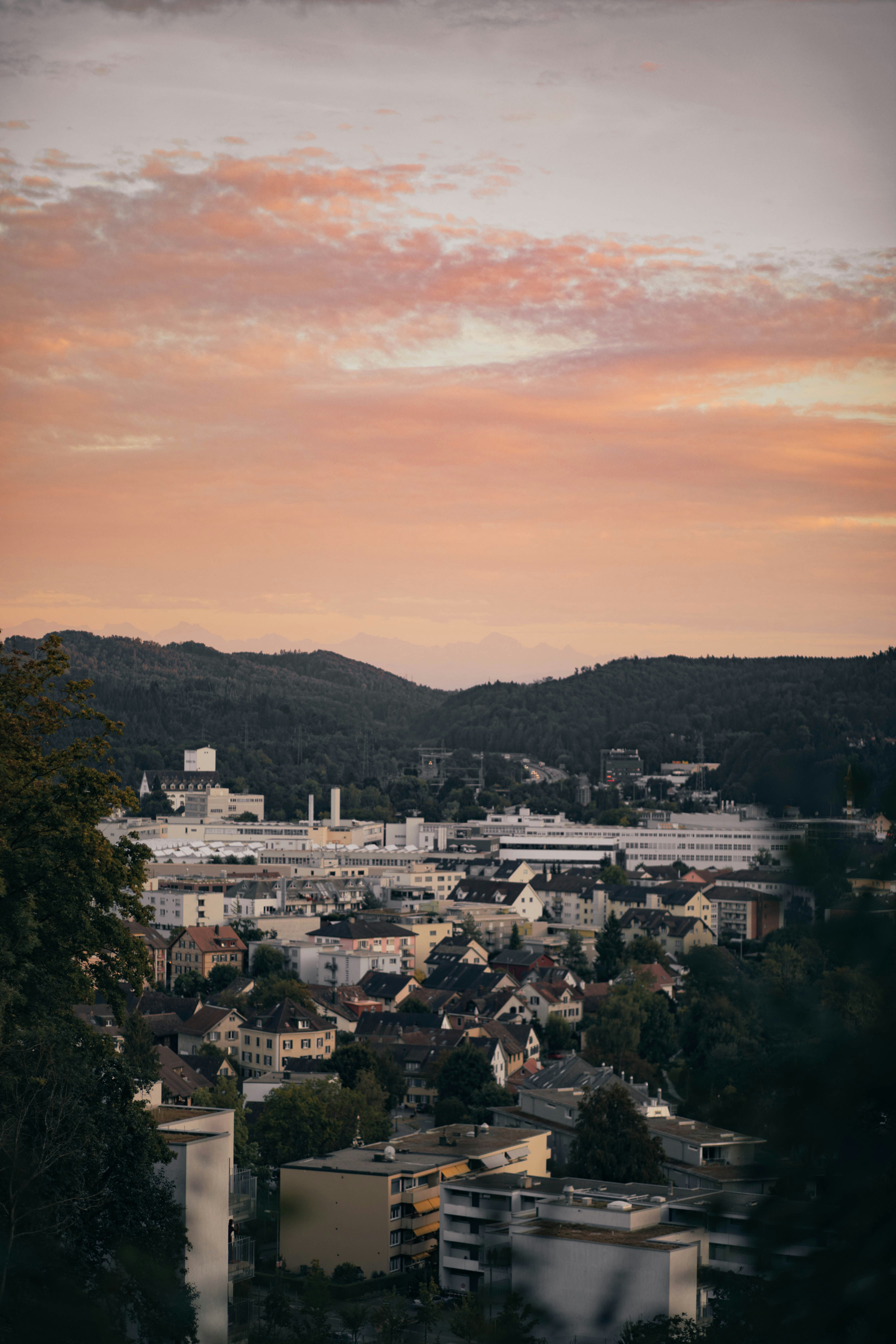 Weißes Betongebäude in der Nähe grüner Bäume unter bewölktem Himmel tagsüber