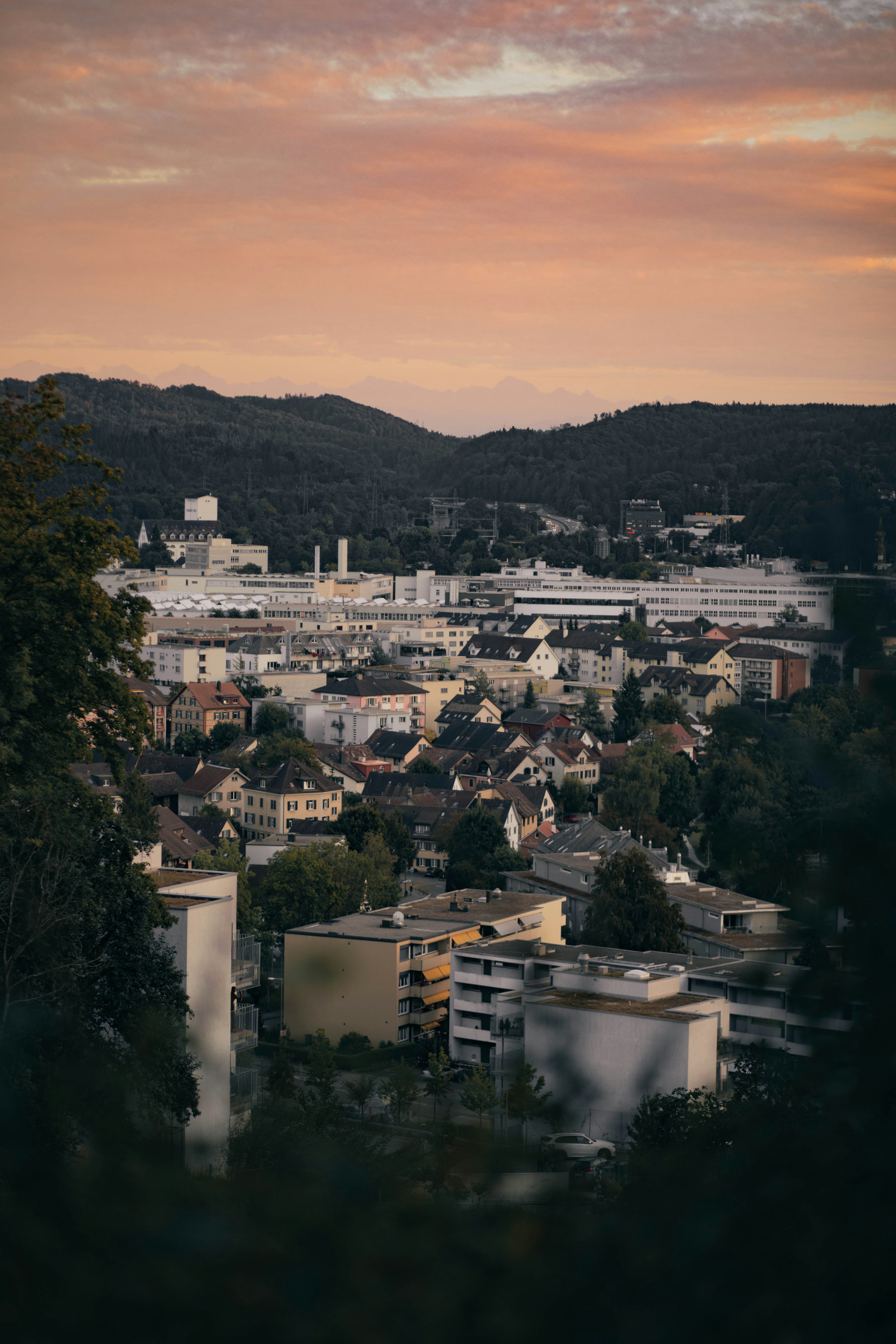 Weißes Betongebäude in der Nähe von grünen Bäumen tagsüber