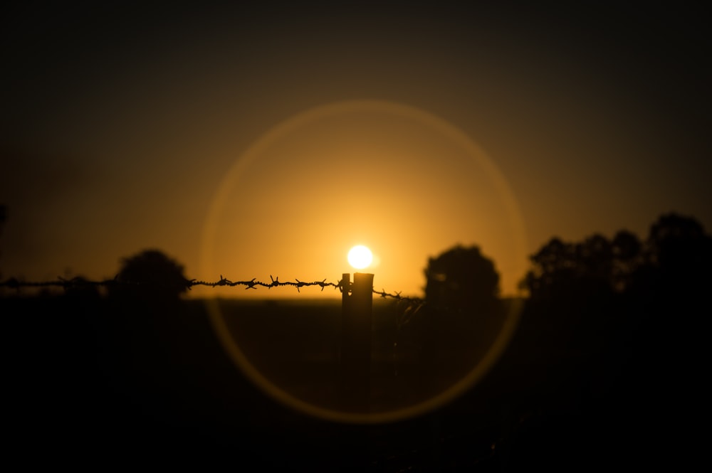 silhouette di alberi durante il tramonto