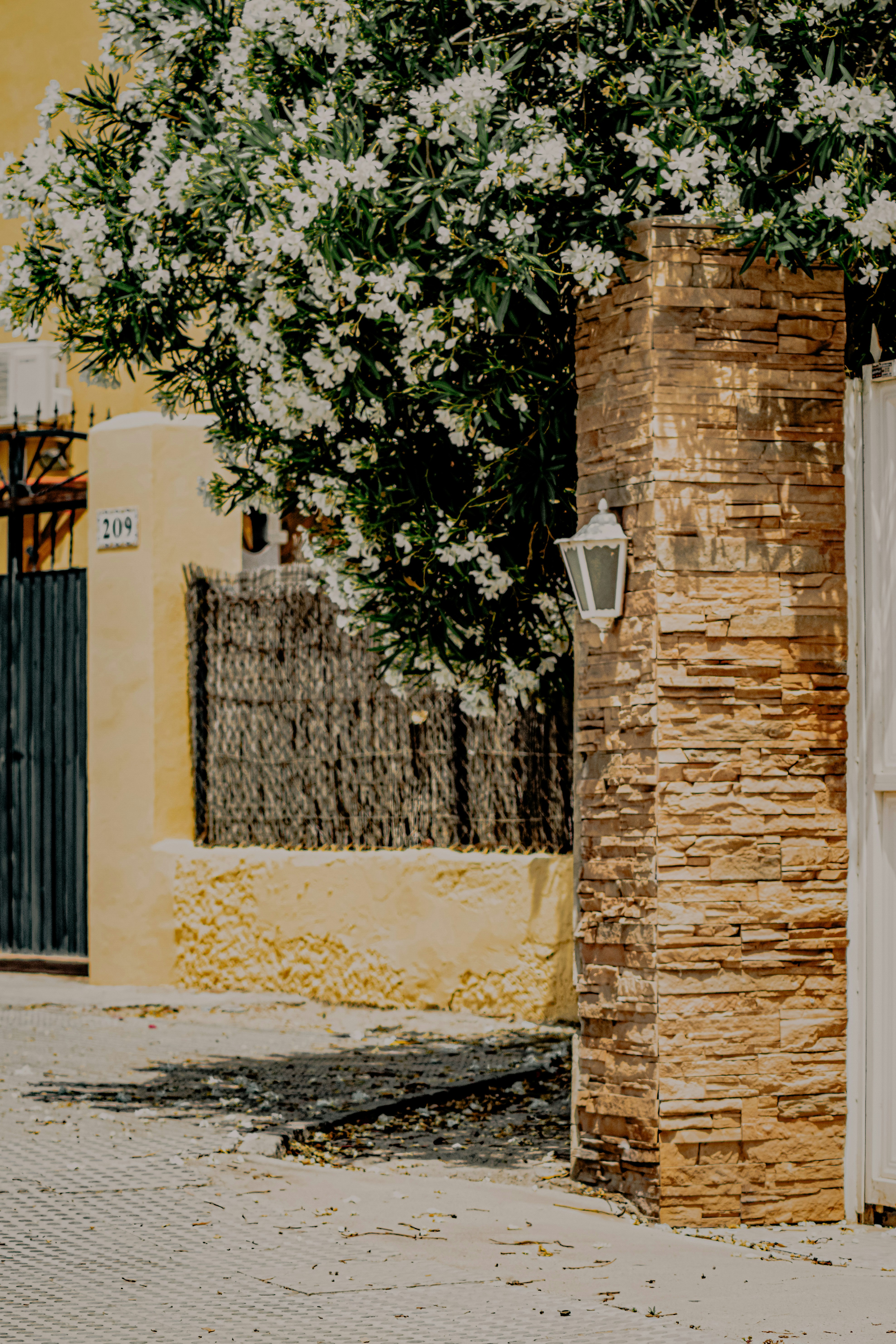 Photo by framesforyourheart