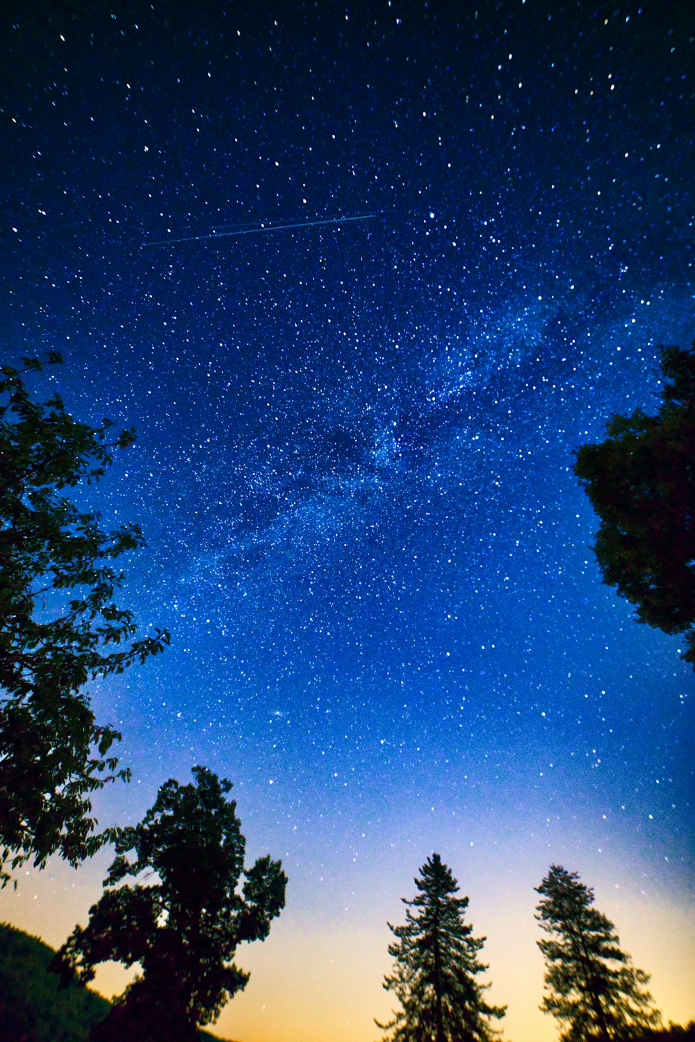 green trees under blue sky during night time