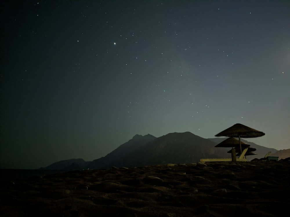 brown wooden house on brown field during night time