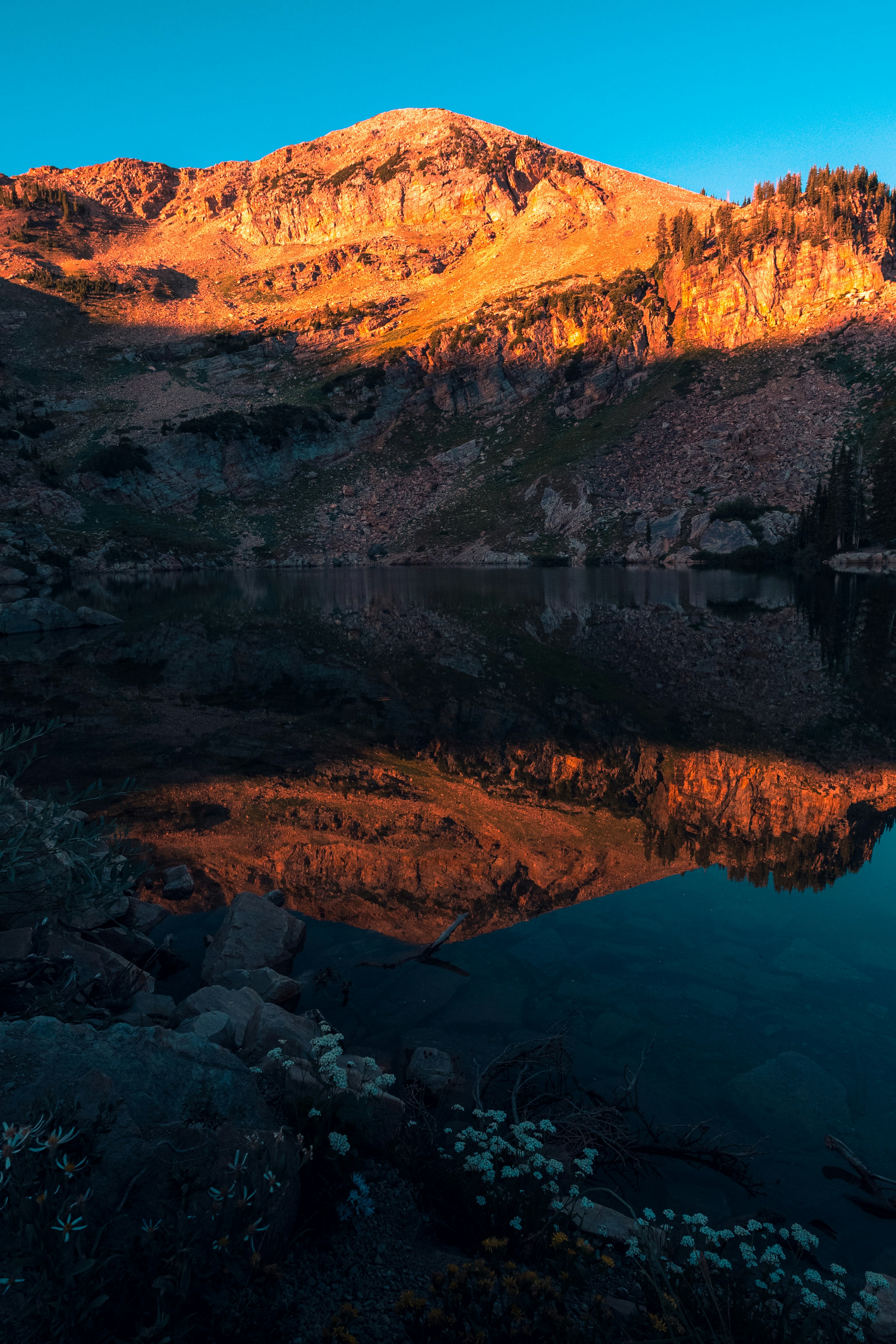 Cinematic Stock Footage