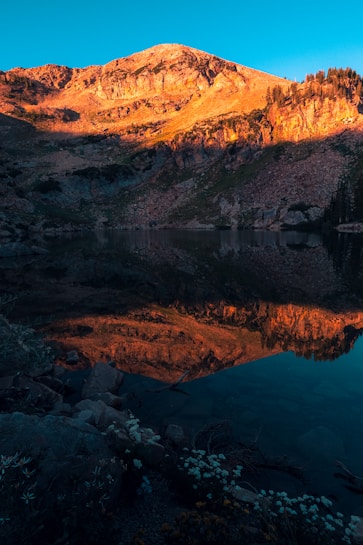 A serene mountain landscape bathed in warm golden light, reflecting perfectly in a still, clear lake. Sparse vegetation and wildflowers adorn the stony terrain, creating a picturesque and tranquil setting.