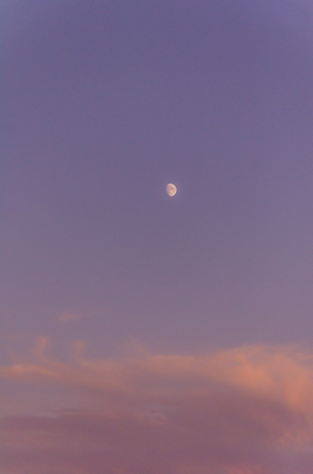 Una luna llena se ve en el cielo