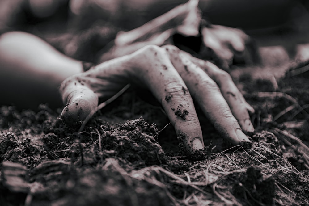 persons hand on brown dried leaves