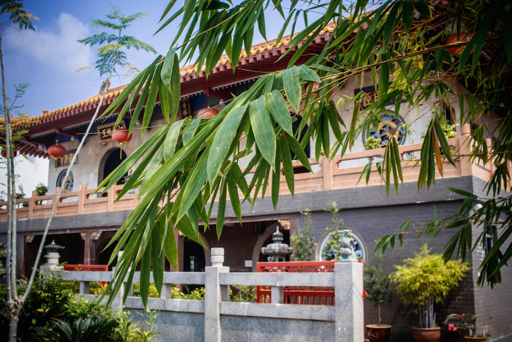 green palm tree near brown concrete building during daytime