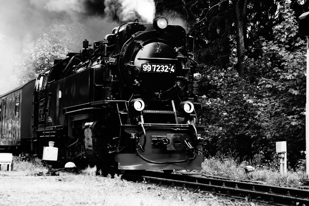 Foto en escala de grises del tren en el bosque