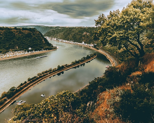 View of the Rhine from Lorelei things to do in Johannisberg