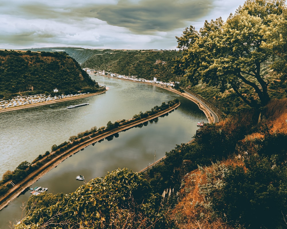 green trees beside river under cloudy sky during daytime