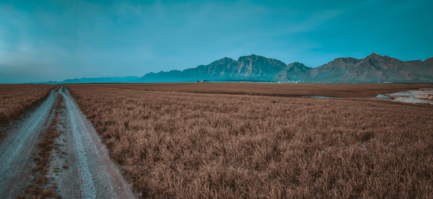 A flat open field with a distant mountain view and a dirt road leading into the property.