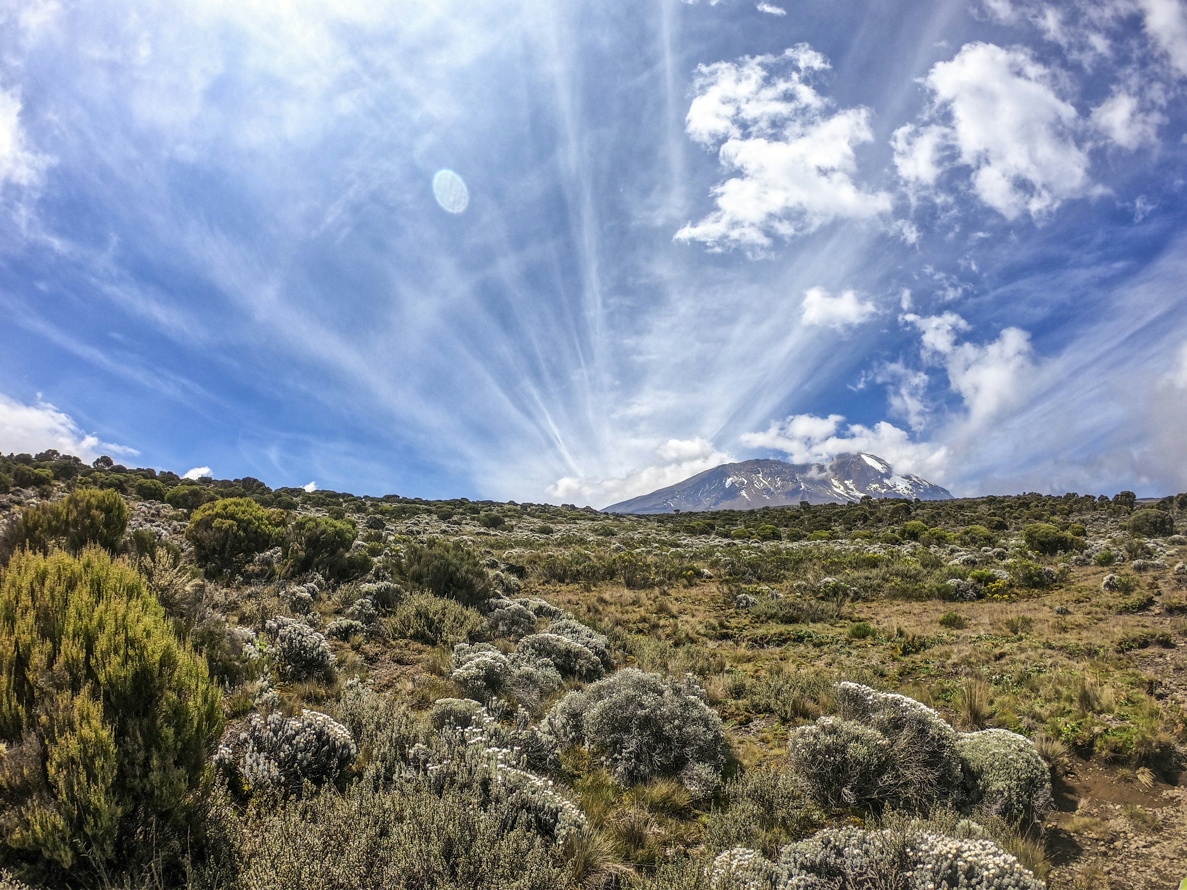 green grass field under blue sky during daytime