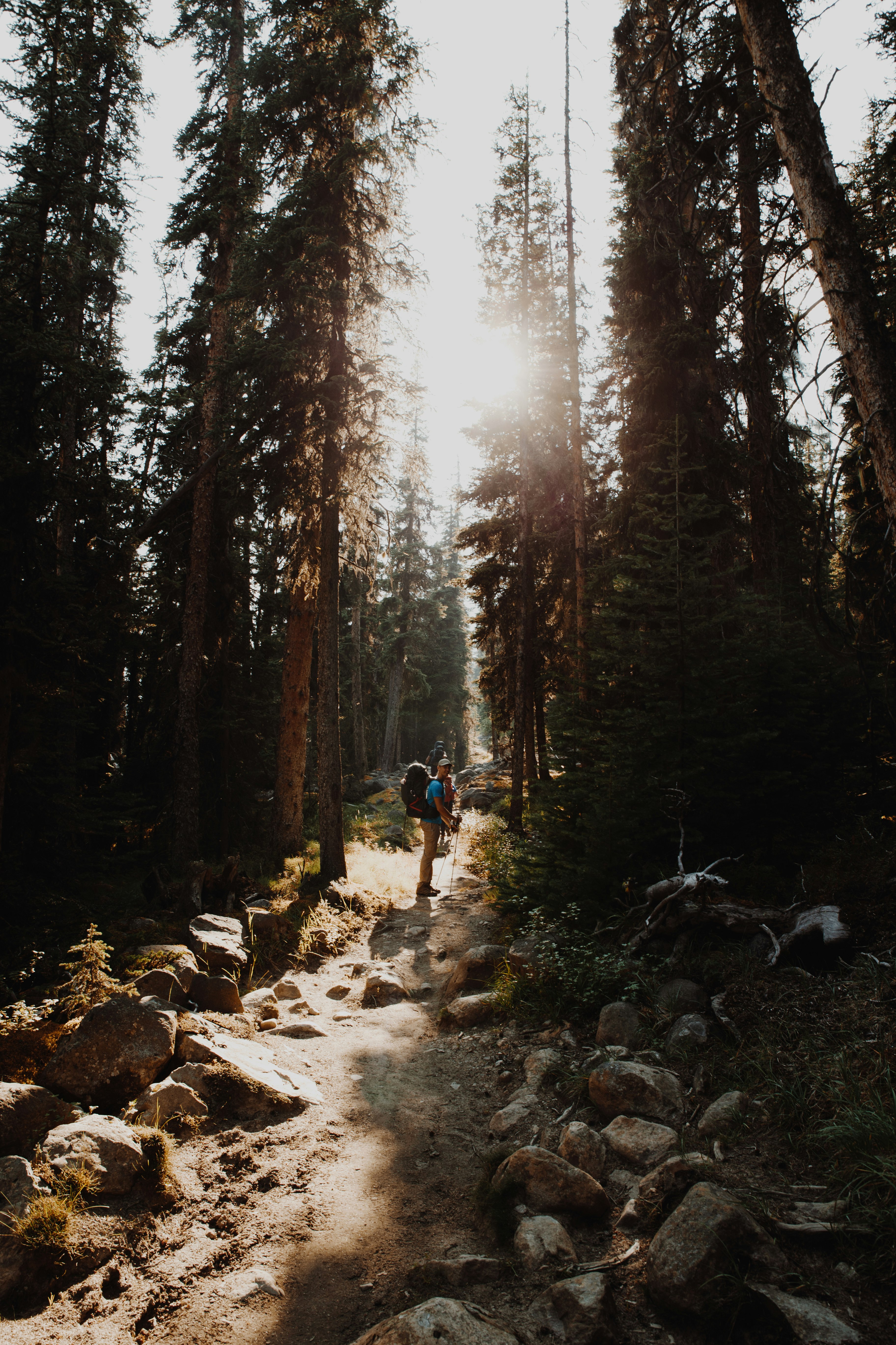 person in black jacket and black pants walking on rocky road surrounded by trees during daytime