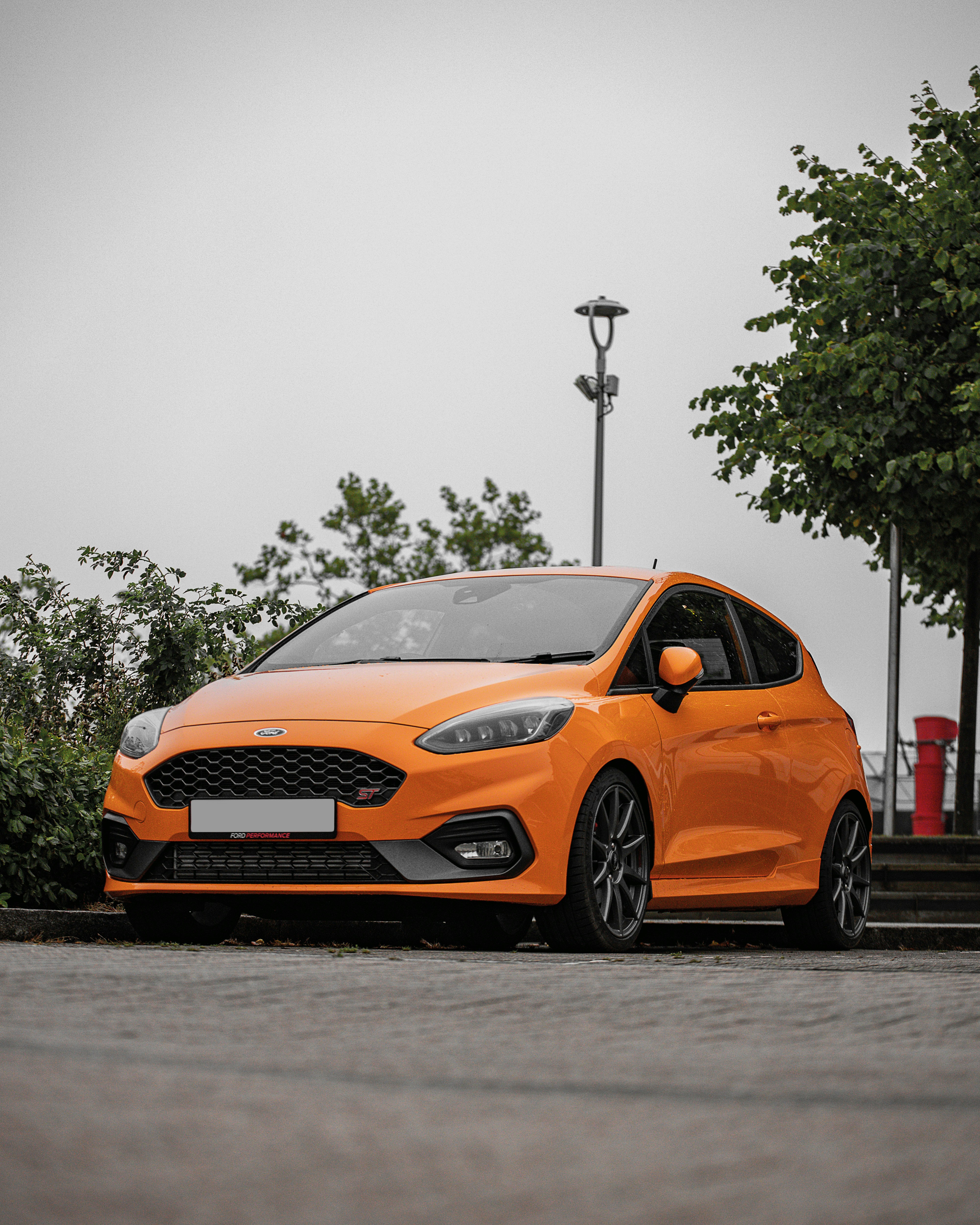 Photo by photofeaver