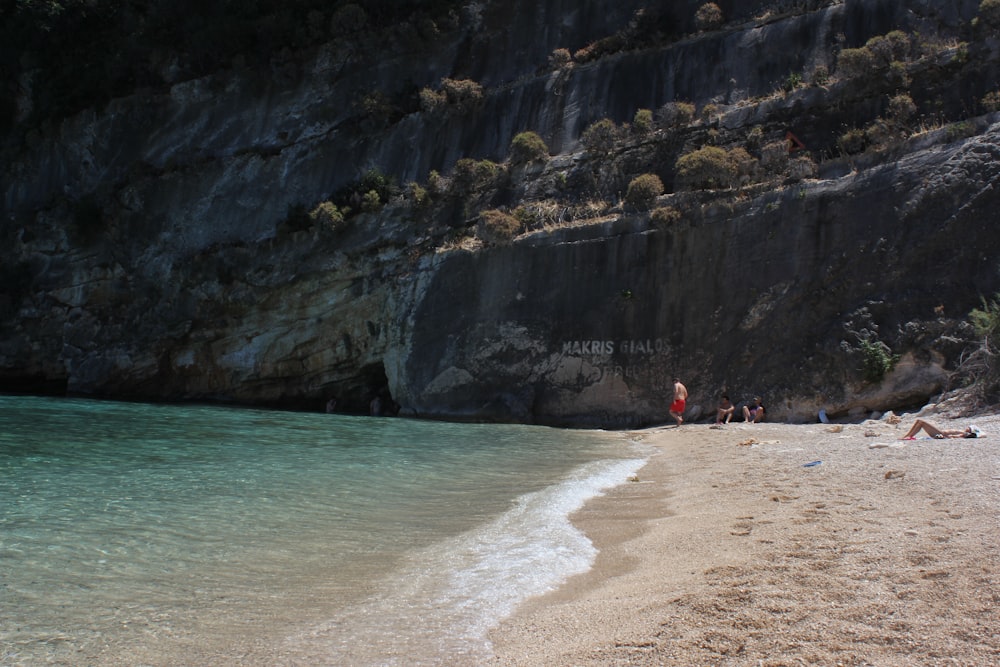 people on beach during daytime