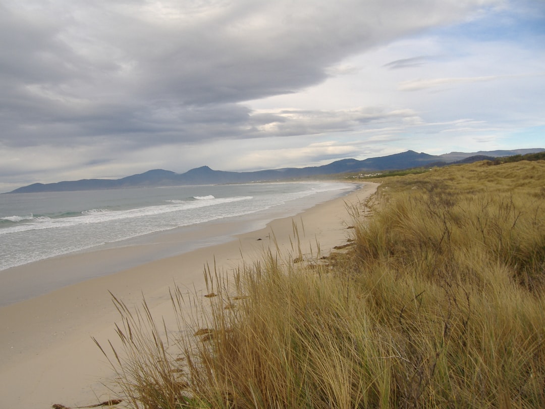 Beach photo spot Scamander TAS Fingal TAS