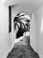 grayscale photo of palm tree near concrete building