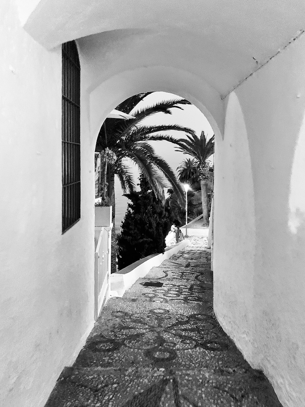 Photo en niveaux de gris d’un palmier près d’un bâtiment en béton