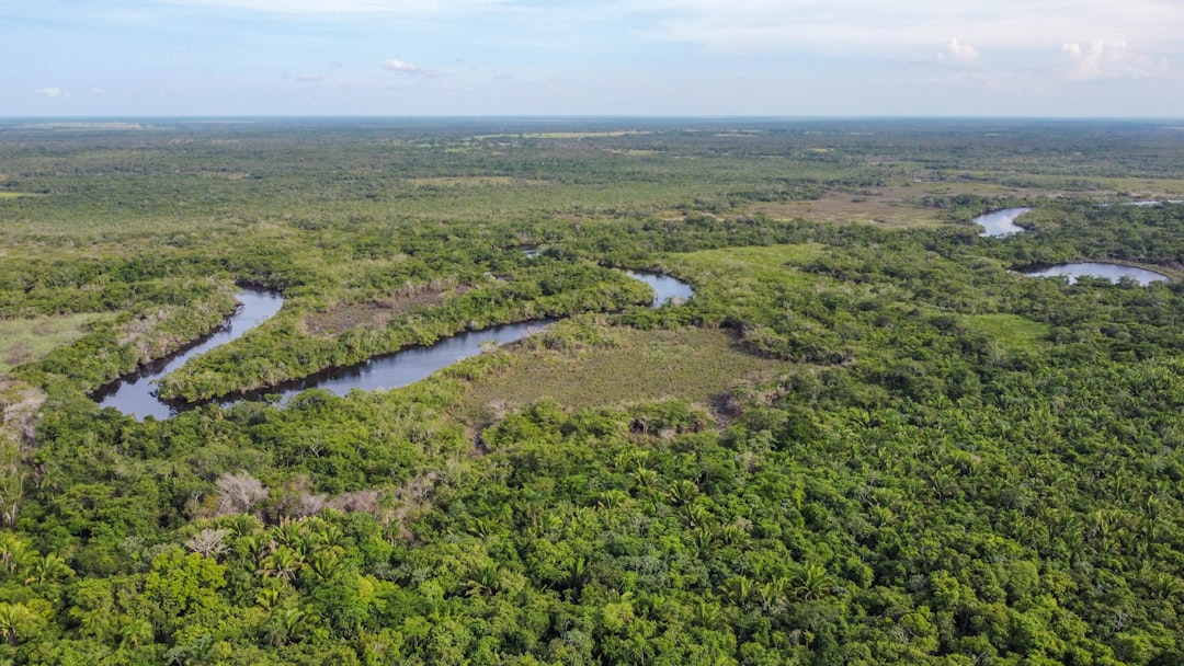 green grass field near river during daytime, New River Aerial View in Guinea Grass