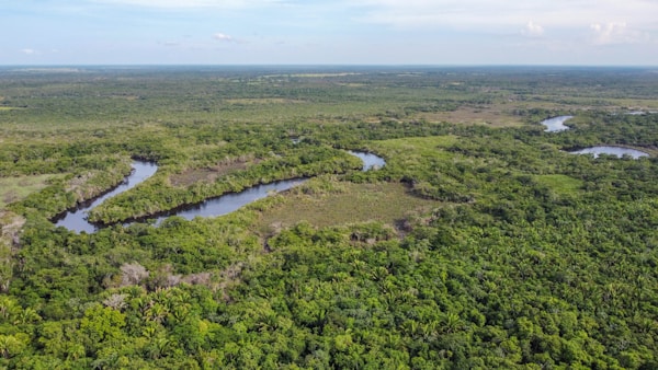 Bissau Travel Guide: Exploring the City's Hidden Gems